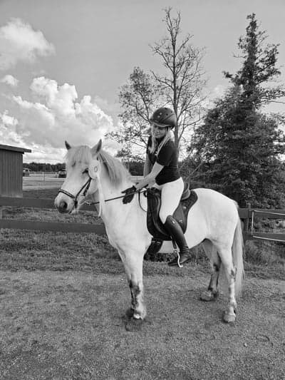 Inlägg 21 av Island