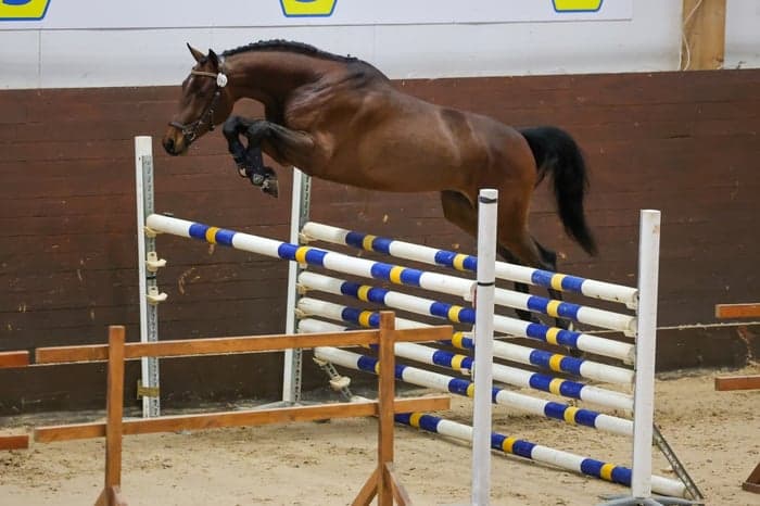 Media 3 av Filippa K