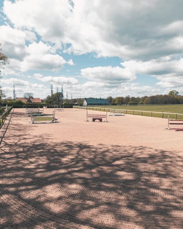 Media 5 av Professionell utbildning & tävling av din häst