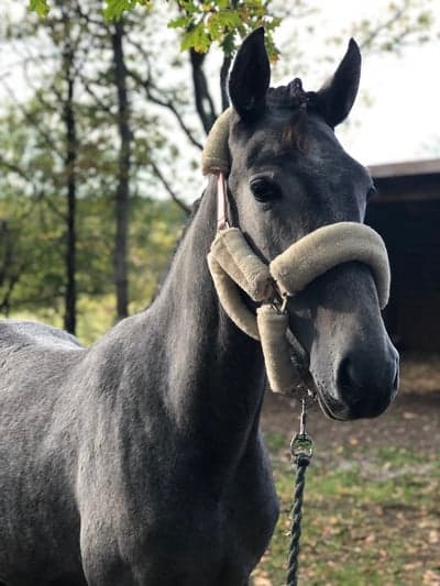 Inlägg 159 av Allround