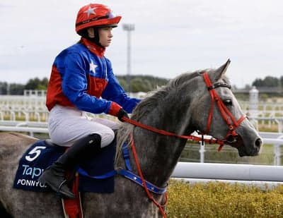 Inlägg 8 av Arabiskt Fullblod med titeln Ponnygalopp 