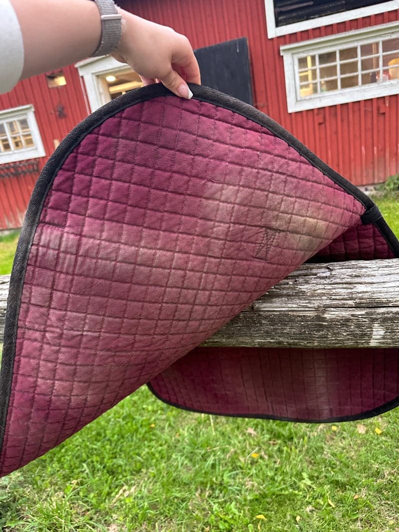 Image 3 of Vinrött schabrak