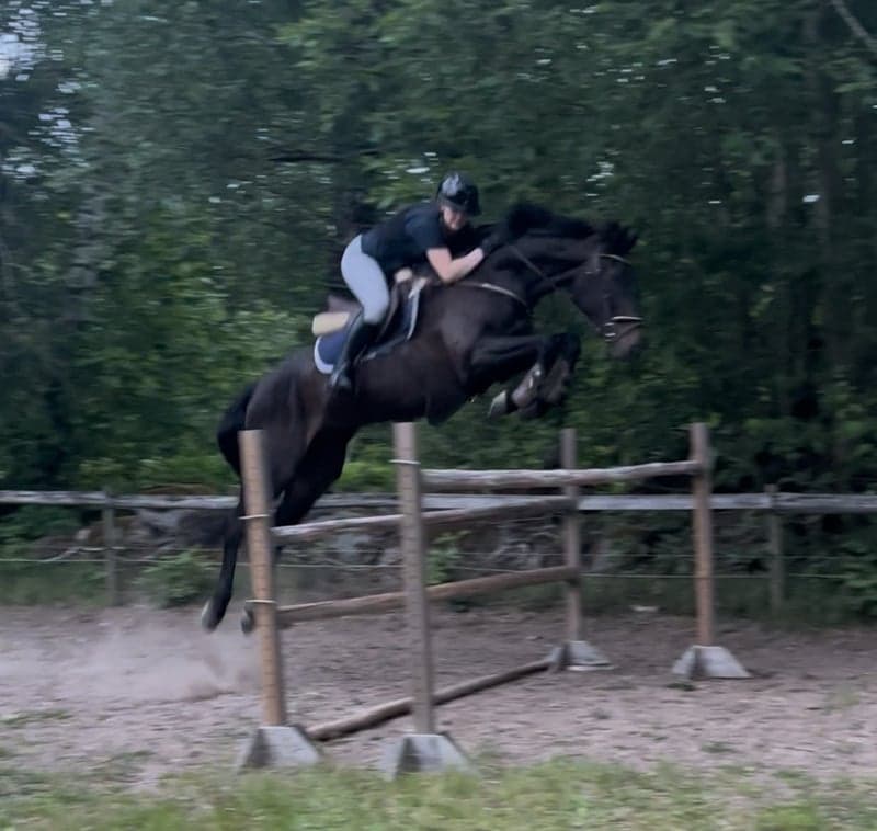 Bild 3 av Premier Royal Sport