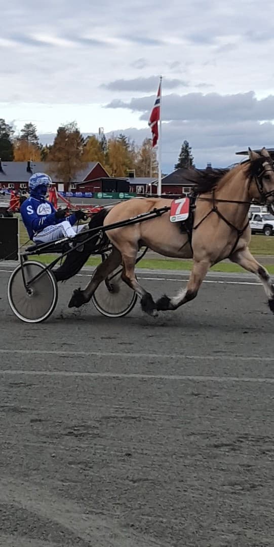 Bild 1 av Blixten E.S