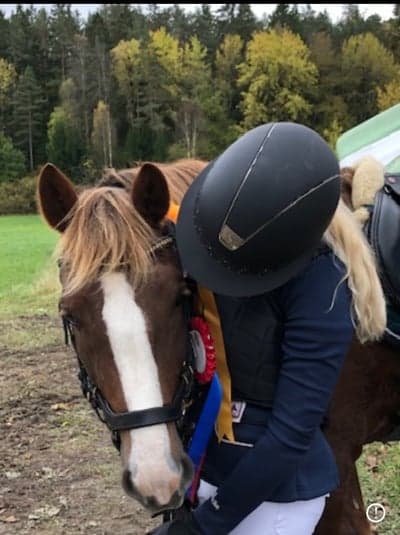 Inlägg 241 av Hoppning med titeln Lagtävling och individuell placering