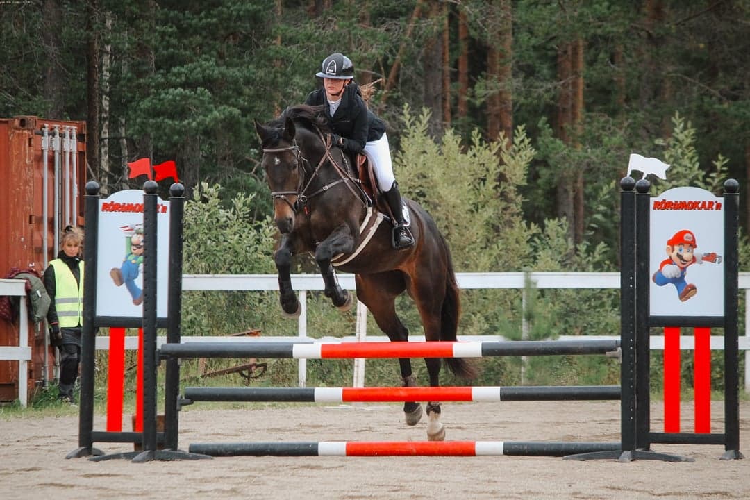 Bild 1 av Kanou vd Groenhoeve Z