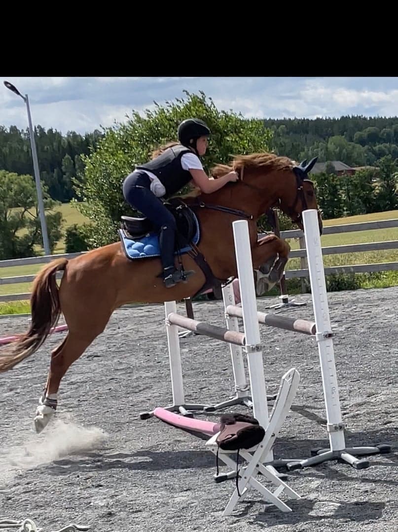 Image 1 of Vongmangårdens bonsai