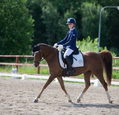 Bild 1 av placeholder text
