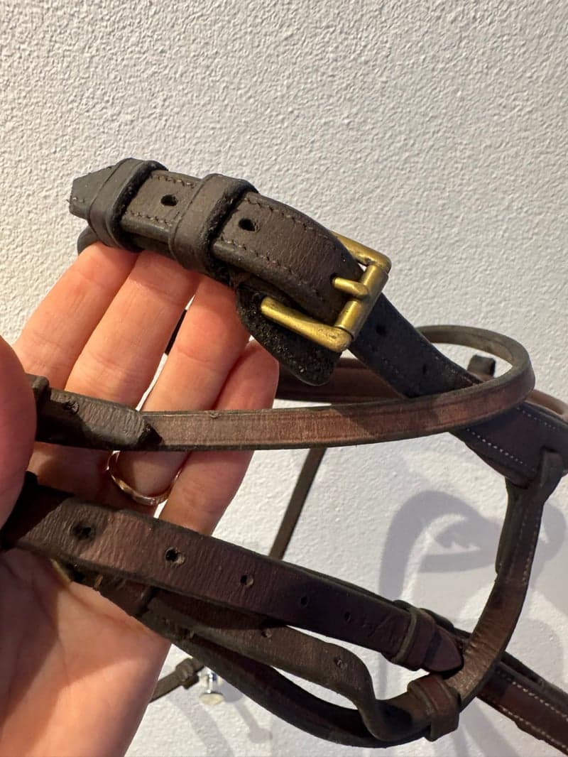 Bild 3 av Ponnyträns från equipe