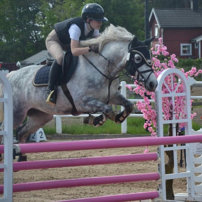 Media 1 av Rowan Lodge Katniss