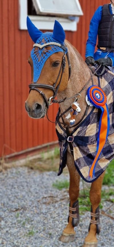 Inlägg 165 av Hoppning