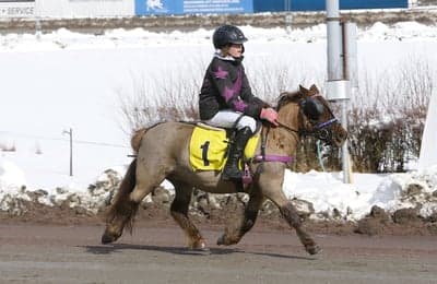 Inlägg 27 av Monté med titeln Monte