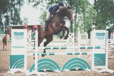 Inlägg 74 av Allround