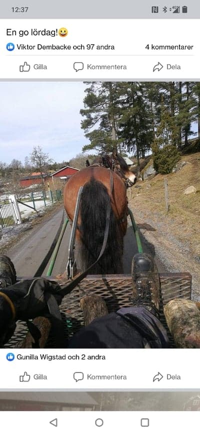 Inlägg 4 av Sportkörning