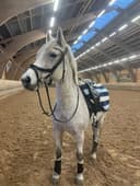 Profilbild av Hazel Cloud