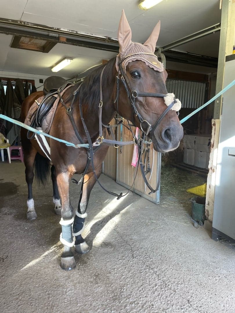 Bild 1 av Come what may