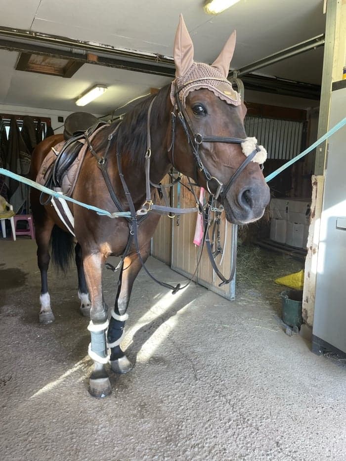 Media 1 av Come what may