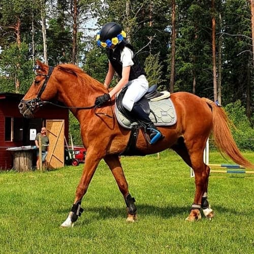 Profilbild av Tilda Olsson