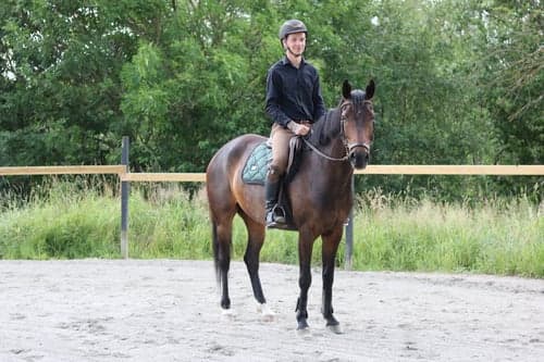 Bild av Häst med stor karaktär men med mycket potential