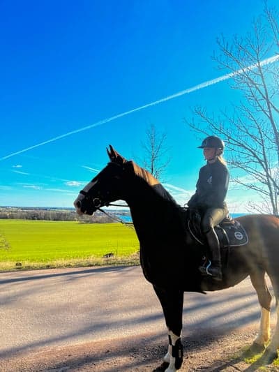 Inlägg 97 av Allround