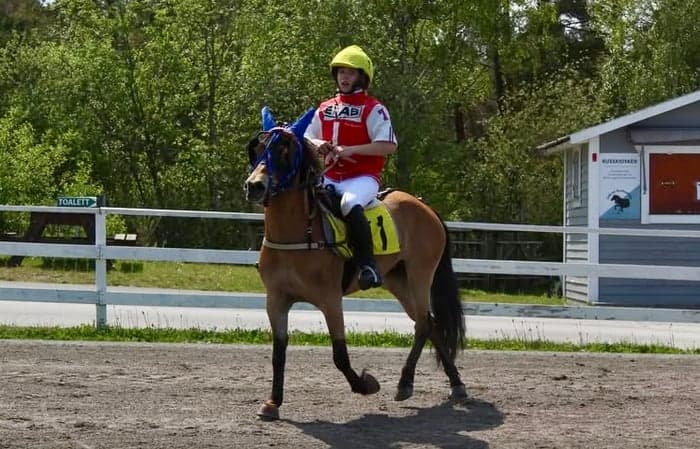 Media 4 av Min Lilla Amberley