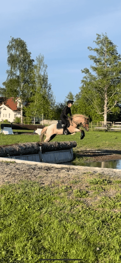 Inlägg 51 av Fälttävlan