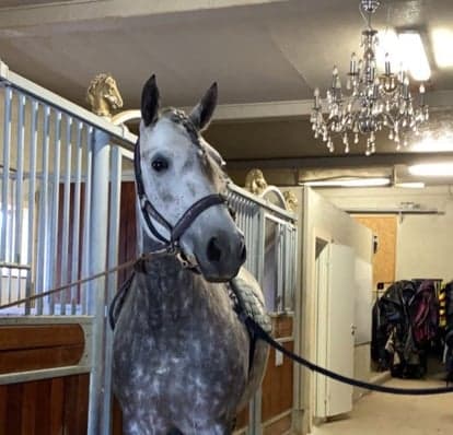 Image 1 of LL Belleza Preciosa