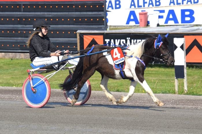 Media 2 av Hagstads Sonett