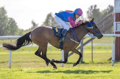 Inlägg 25 av Galopp med titeln Första galopp tävlingen iår vi vann❤️🥇✨
