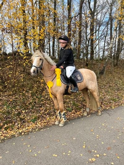 Inlägg 20 av Mounted games med titeln Felfri LA debut & Placerad i Sverigeponnyn LB