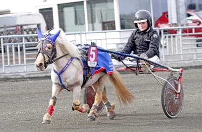 Inlägg 91 av Trav med titeln Ponnytrav