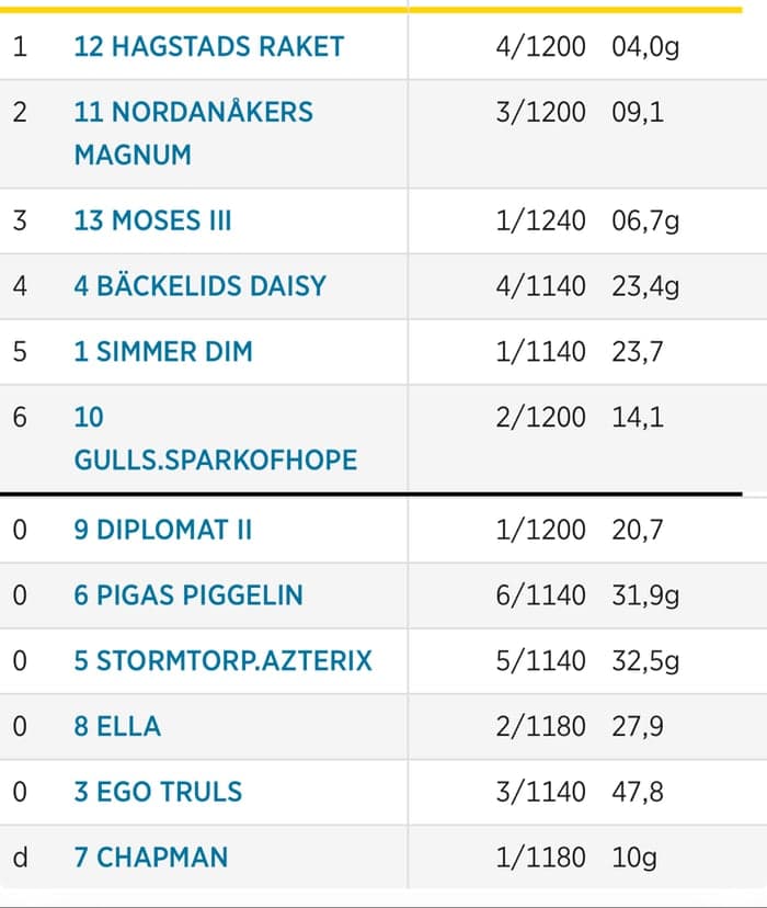 Media 4 of Nordanåkers Magnum