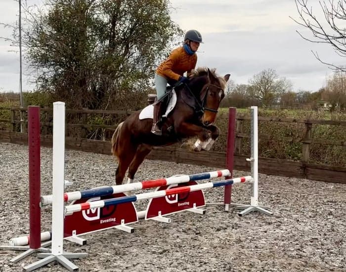 Media 3 av Fun Allrounder/hunter.