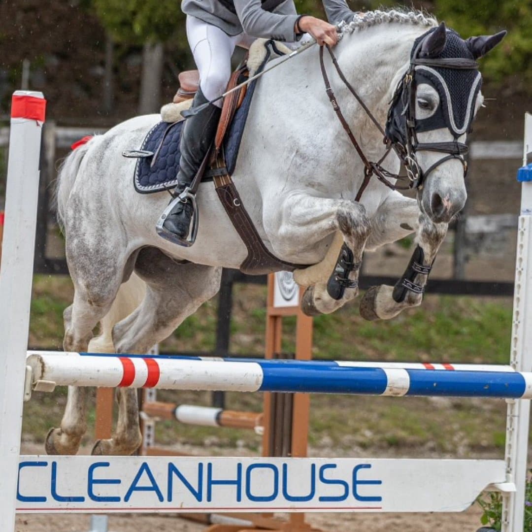 Image 1 of Davy Dexter