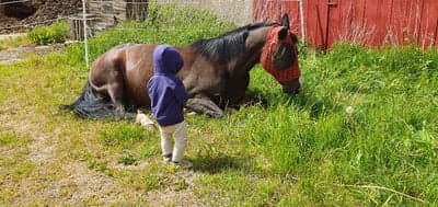 Mys i hagen 🌾🌱☘️