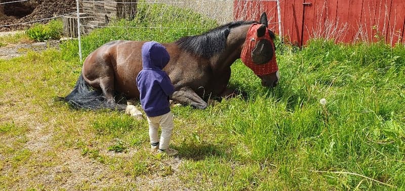 Bild 2 av Petite