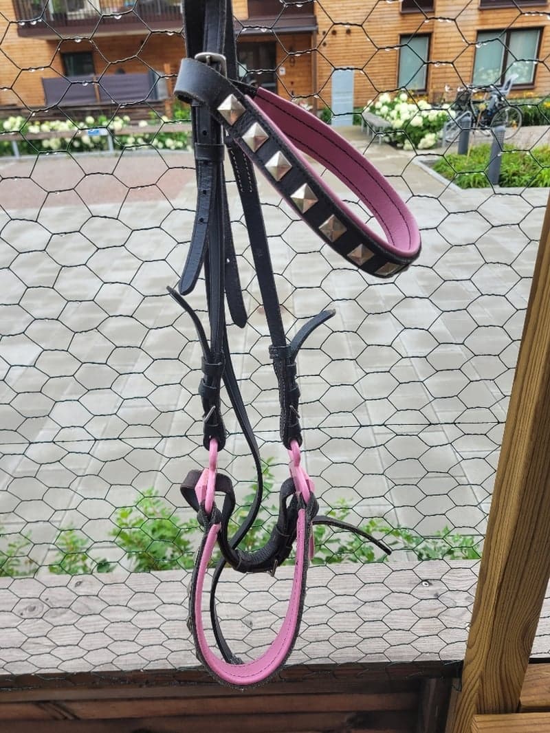 Image 2 of Pink and black hackamore with studs