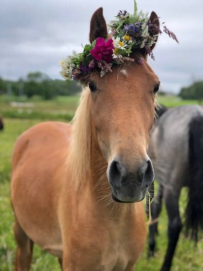 Inlägg 11 av Allround