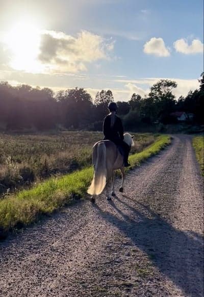 Inlägg 108 av Allround med titeln Vanilla💗