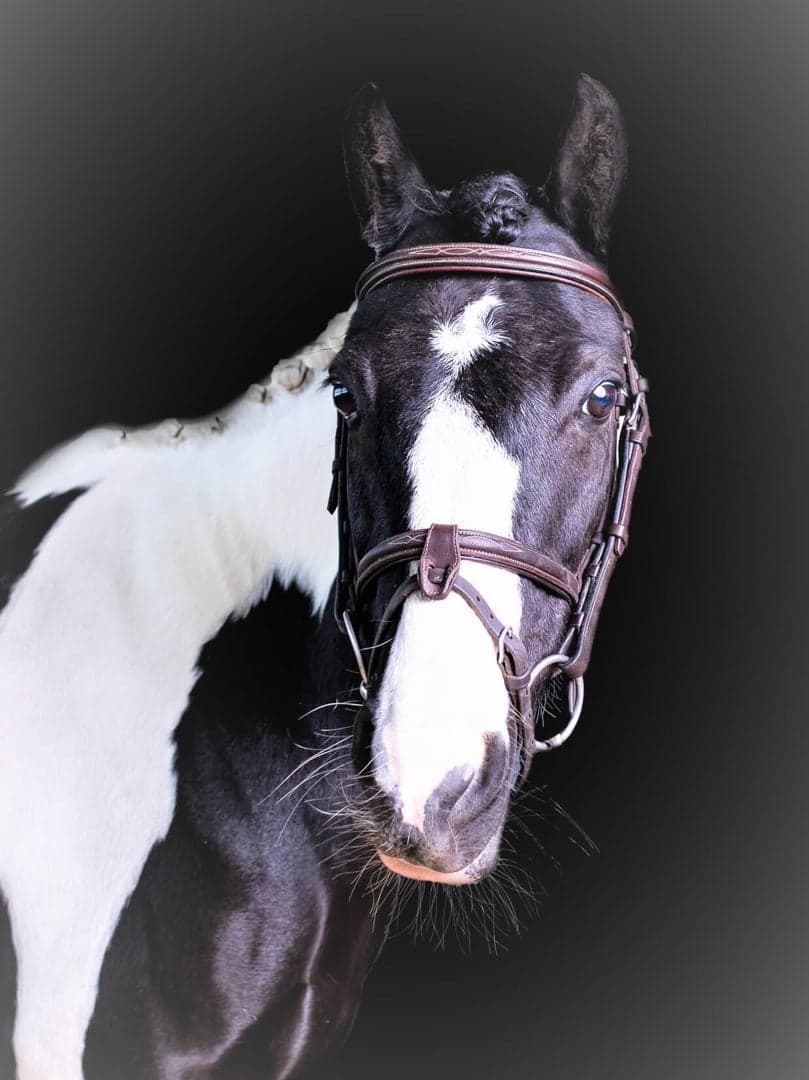 Bild 1 av Tullohea Minnie