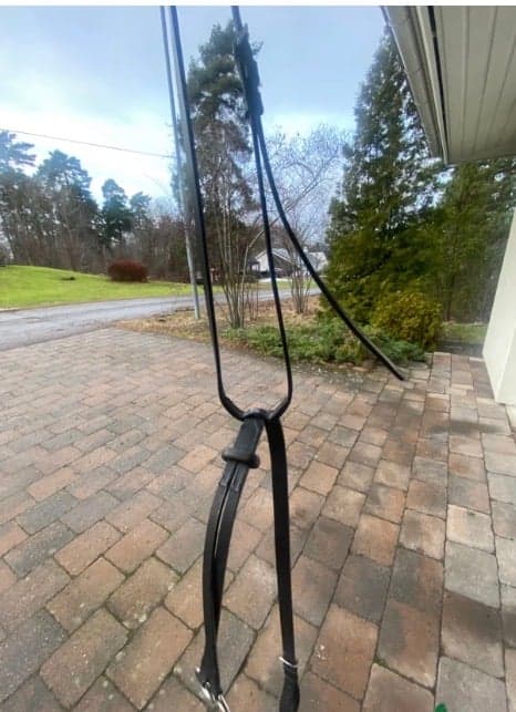 Bild 1 av Svart martingal