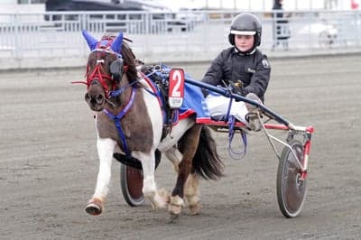 Inlägg 109 av Trav med titeln Ponnytrav 