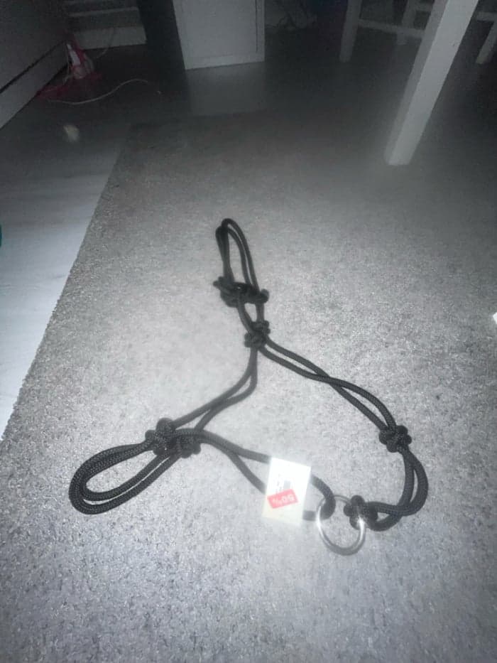 Media 1 av Svart repgrimma