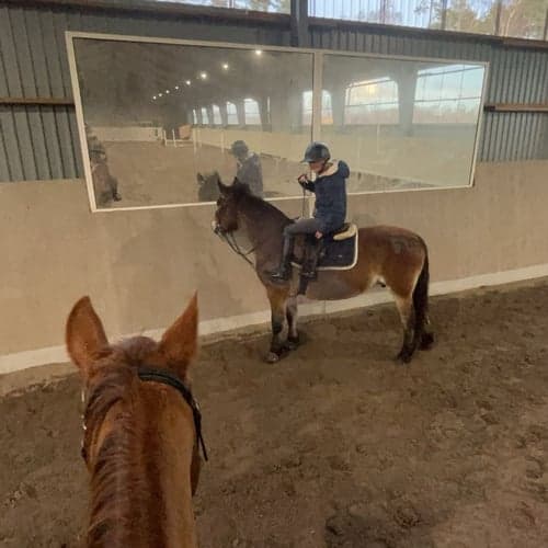 Profilbild av Arve Käck