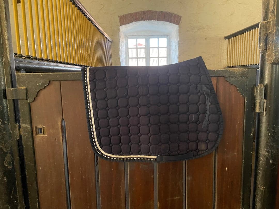 Bild 1 av Blått schabrak