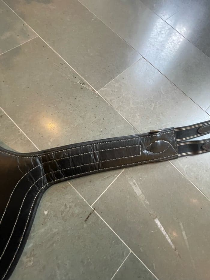 Media 5 av Svart sadelgjord