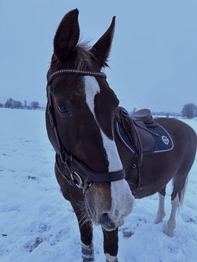Inlägg 95 av Allround
