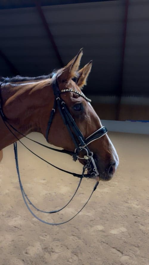 Bild av Lyxig läromästare! 🌟