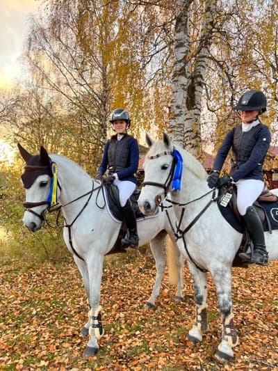 Inlägg 333 av Hoppning med titeln Tigger 2:placerad LA, Falun