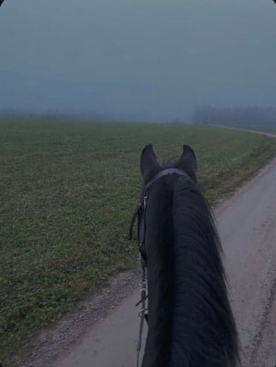 Inlägg 129 av Allround med titeln 🩶🩶🩶